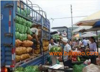 共好膳食 专业食材配送与餐饮服务专家